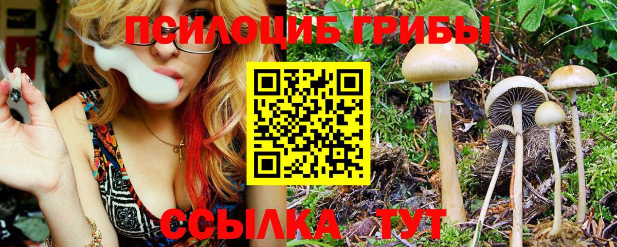 Псилоцибиновые грибы мицелий Аксай
