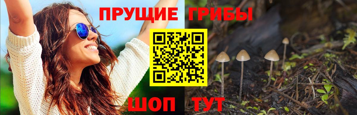 Аксай  Галлюциногенные грибы Magic Shrooms  Галлюциногенные грибы ЛСД  Вход с VPN 